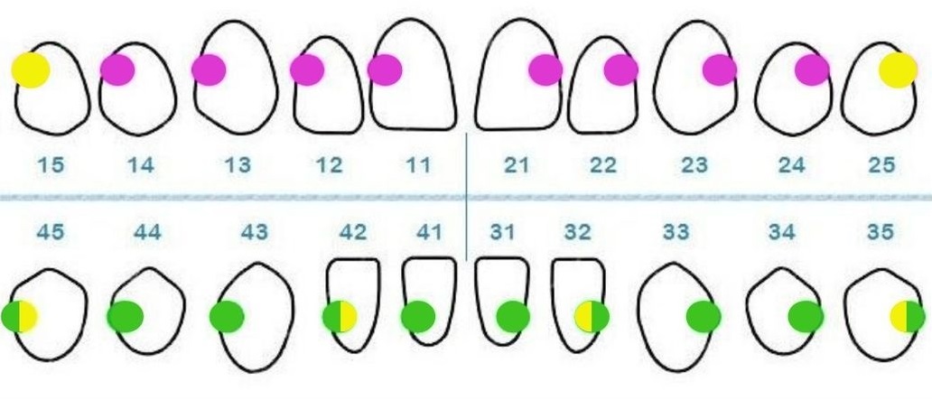 Technique Alexander & Swing